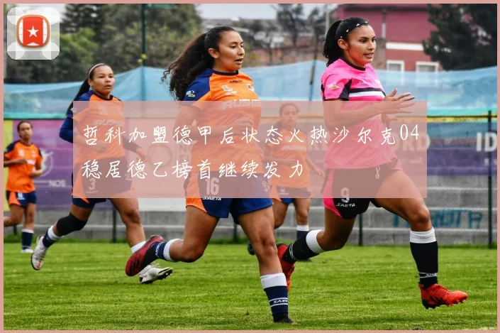 哲科加盟德甲后状态火热沙尔克04稳居德乙榜首继续发力