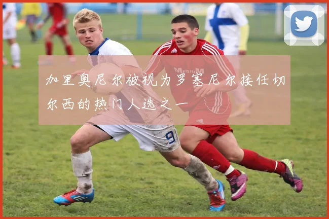 加里奥尼尔被视为罗塞尼尔接任切尔西的热门人选之一