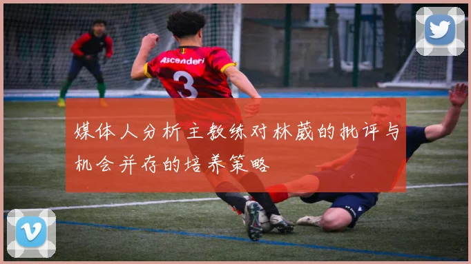 媒体人分析主教练对林葳的批评与机会并存的培养策略