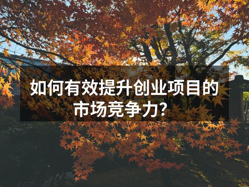 如何有效提升创业项目的市场竞争力？