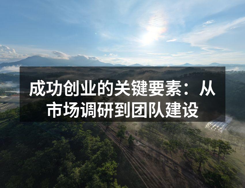 成功创业的关键要素：从市场调研到团队建设